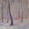 winter-im-wienerwald