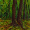 wald-5