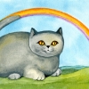 die-regenbogenkatze