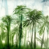 Palmen im Regenwald