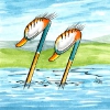 golfstock-enten